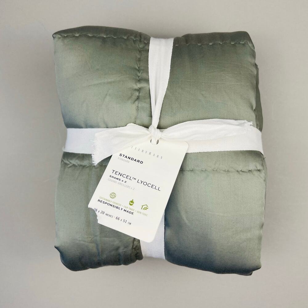 Pottery Barn SET OF 2 STANDARD Tencel Stitched Quilted Sham Eucalyptus Green NWT